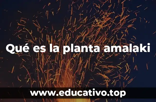 Qué es la planta amalaki