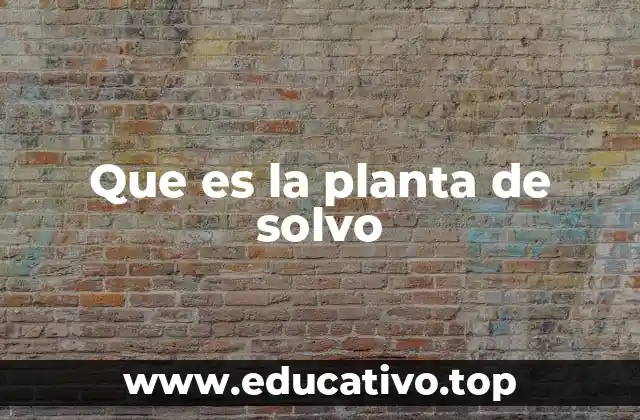 Que es la planta de solvo