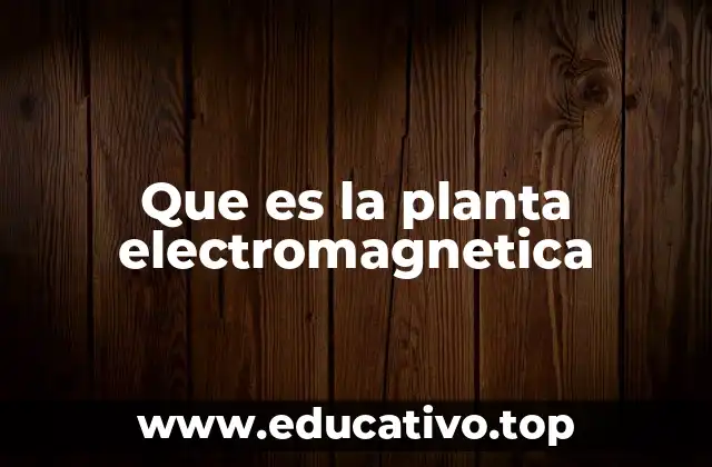 Que es la planta electromagnetica
