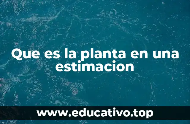 Que es la planta en una estimacion