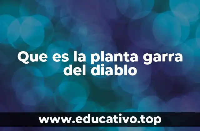 Que es la planta garra del diablo