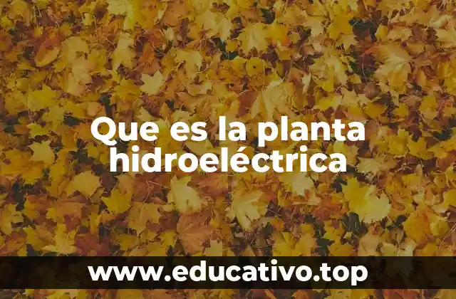 Que es la planta hidroeléctrica