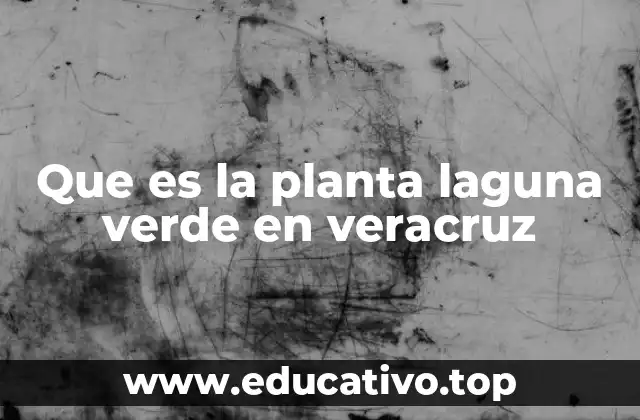 Que es la planta laguna verde en veracruz