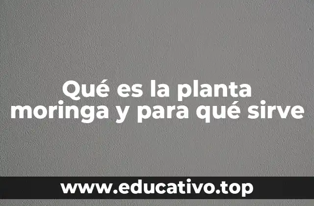 Propiedades nutricionales de la moringa