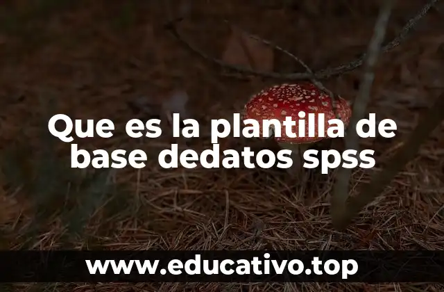 Que es la plantilla de base dedatos spss