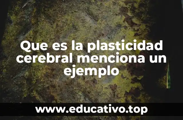 Que es la plasticidad cerebral menciona un ejemplo