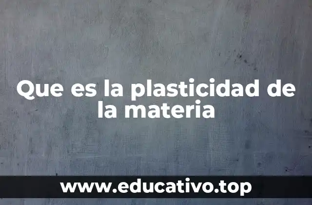 Que es la plasticidad de la materia