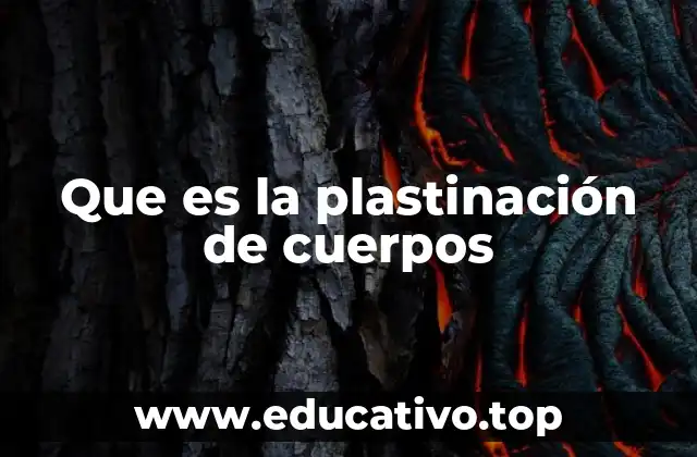 Que es la plastinación de cuerpos