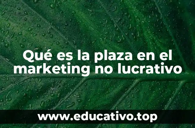 Qué es la plaza en el marketing no lucrativo