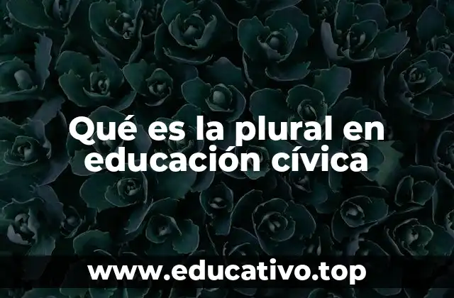 Qué es la plural en educación cívica