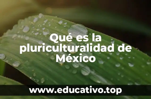 Qué es la pluriculturalidad de México