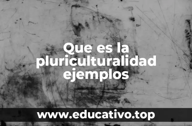 Que es la pluriculturalidad ejemplos