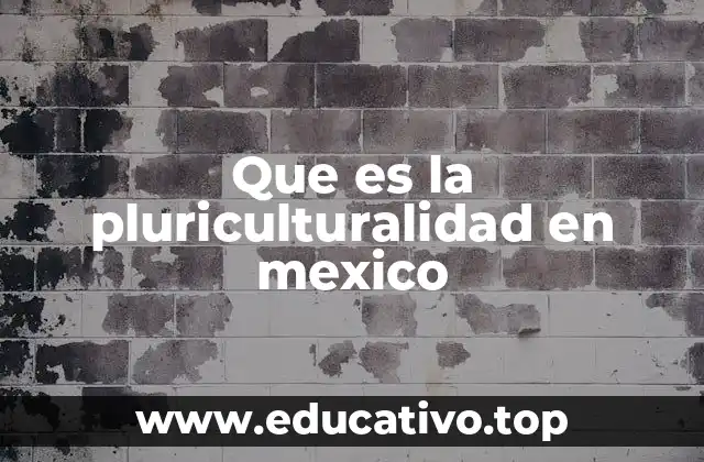 Que es la pluriculturalidad en mexico