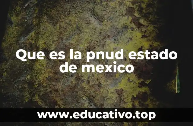 Que es la pnud estado de mexico