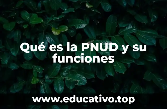 Qué es la PNUD y su funciones