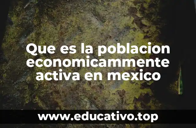 El papel de la población económicamente activa en el desarrollo económico