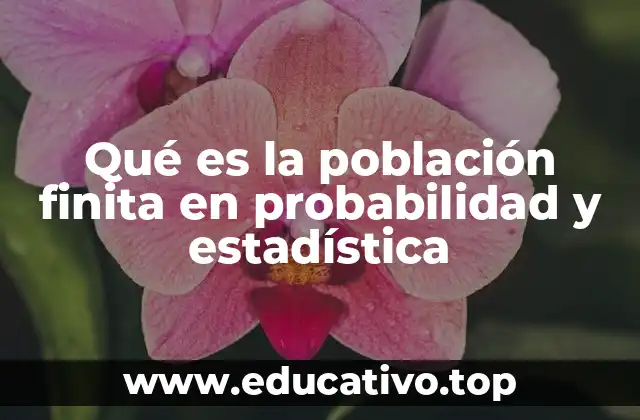 Qué es la población finita en probabilidad y estadística