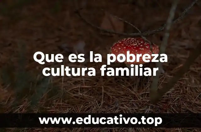 Que es la pobreza cultura familiar
