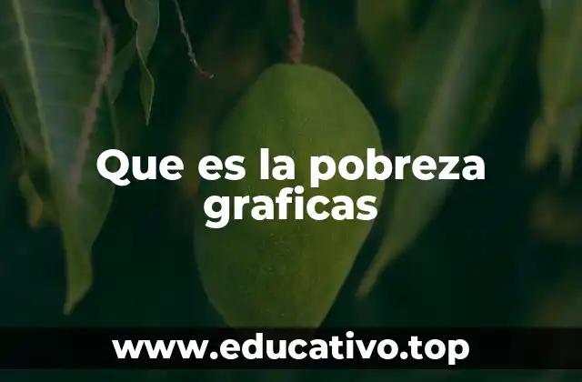 Que es la pobreza graficas