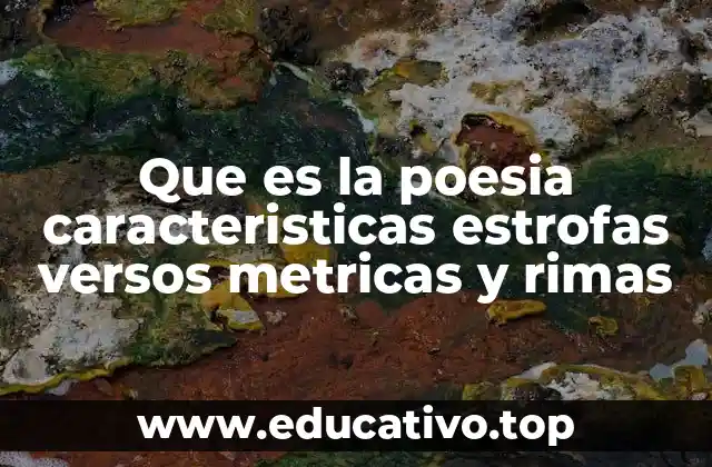 Que es la poesia caracteristicas estrofas versos metricas y rimas
