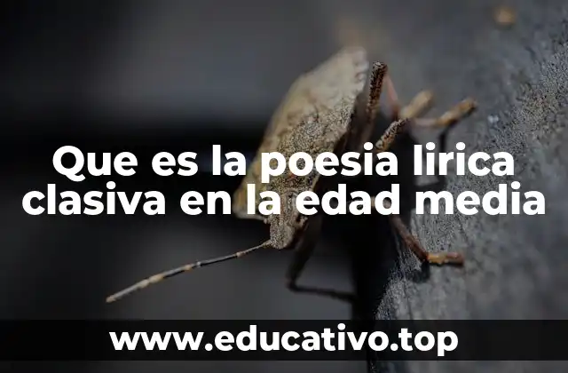 Que es la poesia lirica clasiva en la edad media