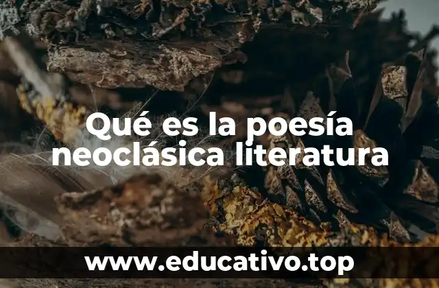 Qué es la poesía neoclásica literatura