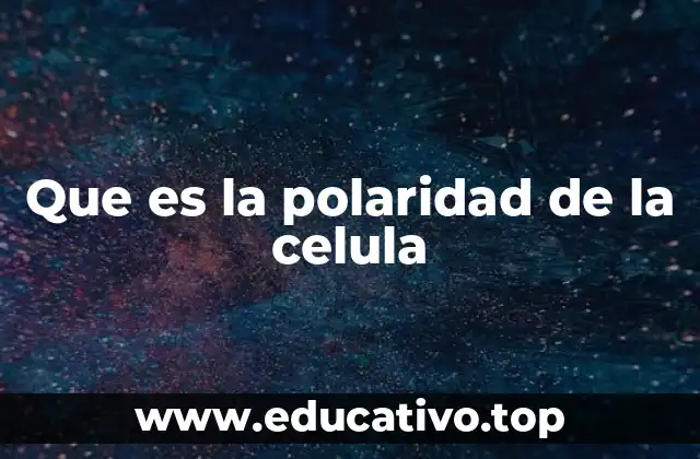 Que es la polaridad de la celula