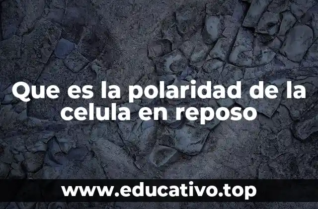 La base iónica de la polaridad en reposo