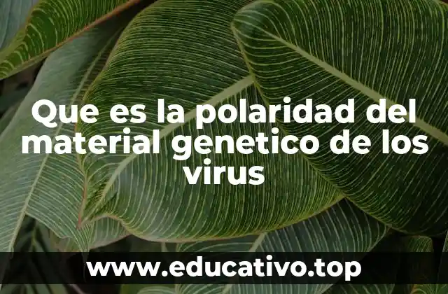 Que es la polaridad del material genetico de los virus