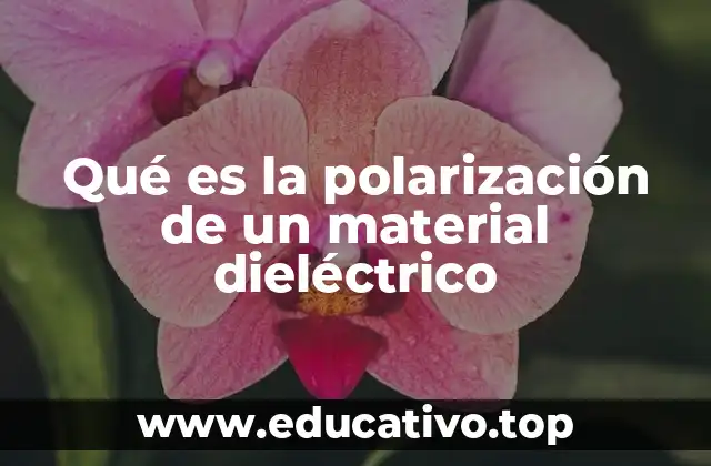 Qué es la polarización de un material dieléctrico