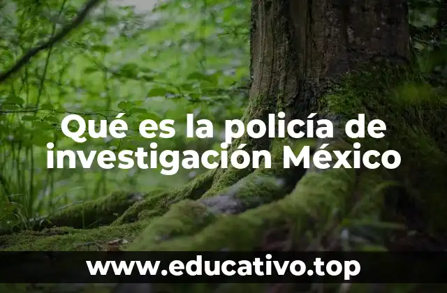 Qué es la policía de investigación México