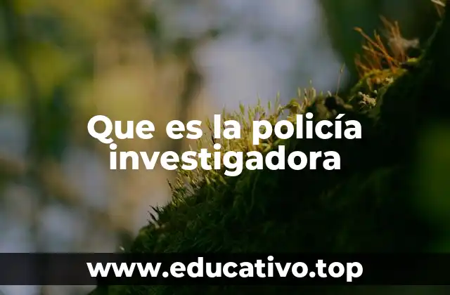Que es la policía investigadora