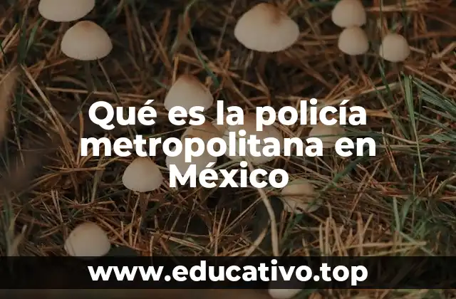 Qué es la policía metropolitana en México
