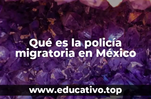 Qué es la policía migratoria en México