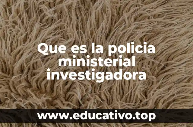 Que es la policia ministerial investigadora