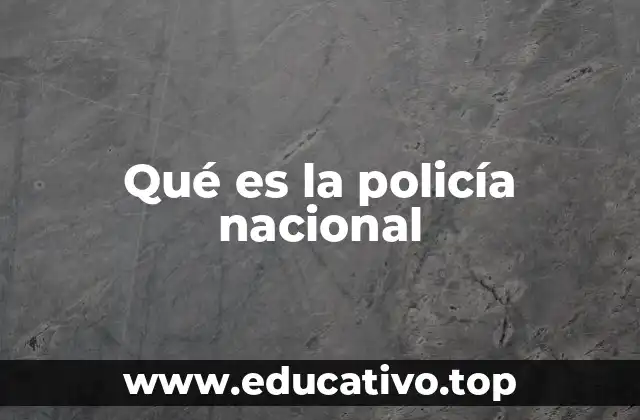 Qué es la policía nacional
