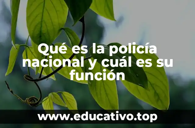 Qué es la policía nacional y cuál es su función