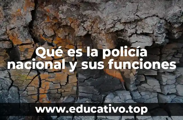 Qué es la policía nacional y sus funciones