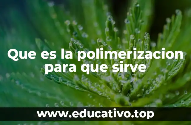 Que es la polimerizacion para que sirve