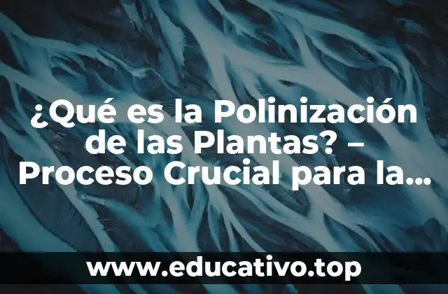 ¿Qué es la Polinización de las Plantas? – Proceso Crucial para la Reproducción