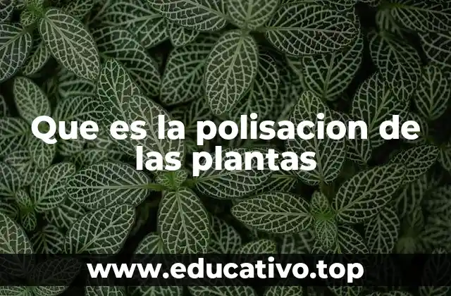 Que es la polisacion de las plantas