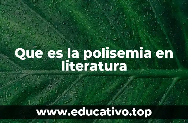 Que es la polisemia en literatura