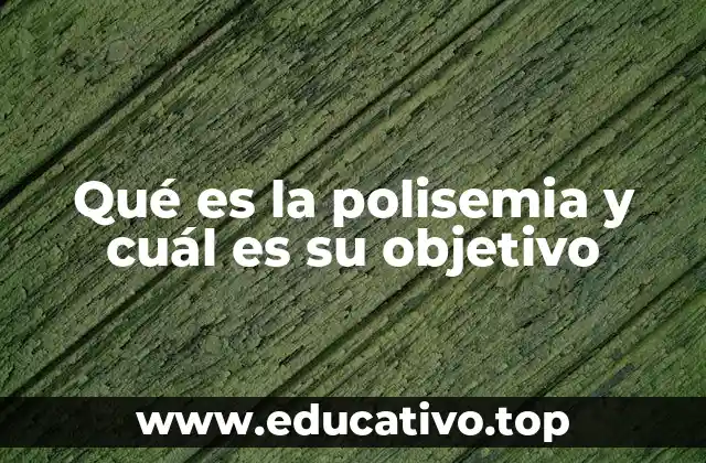Qué es la polisemia y cuál es su objetivo