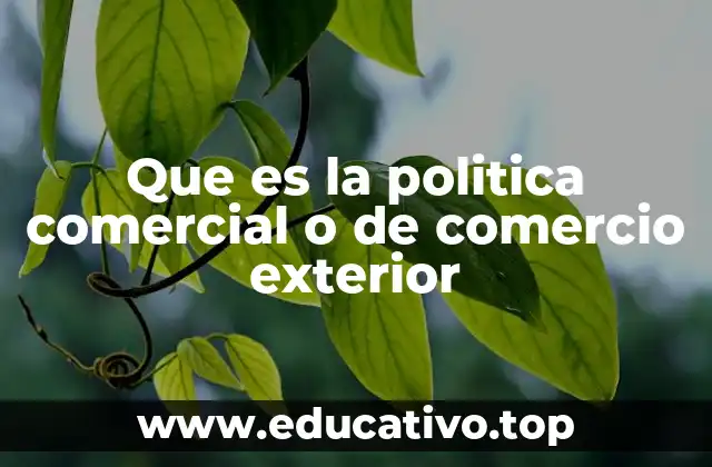 Que es la politica comercial o de comercio exterior