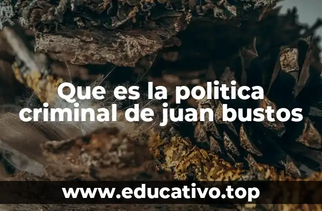 Que es la politica criminal de juan bustos