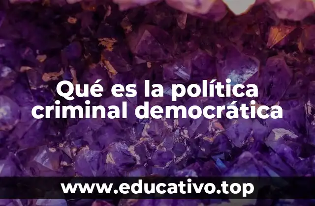 Qué es la política criminal democrática