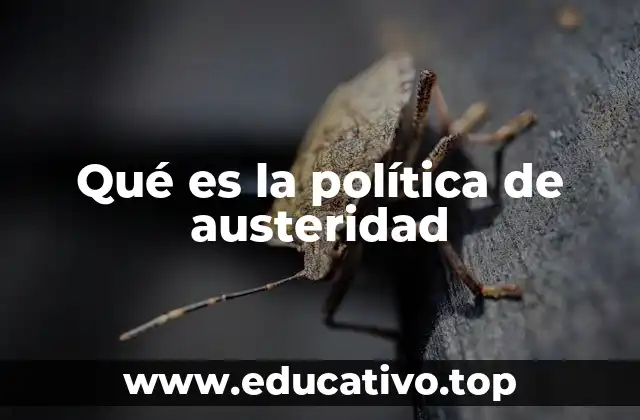 Qué es la política de austeridad