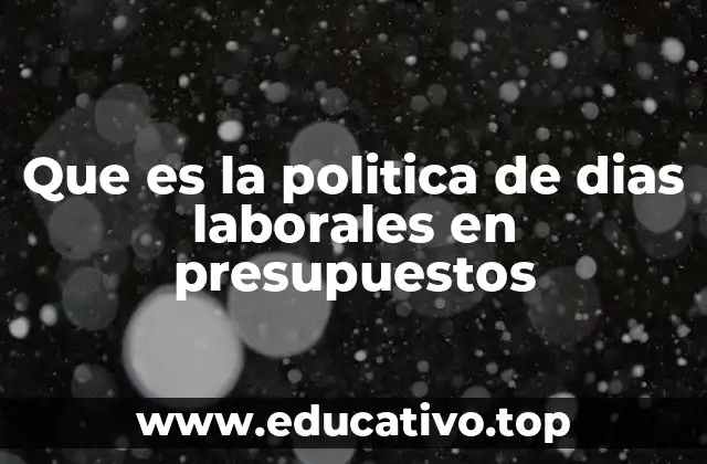 Que es la politica de dias laborales en presupuestos