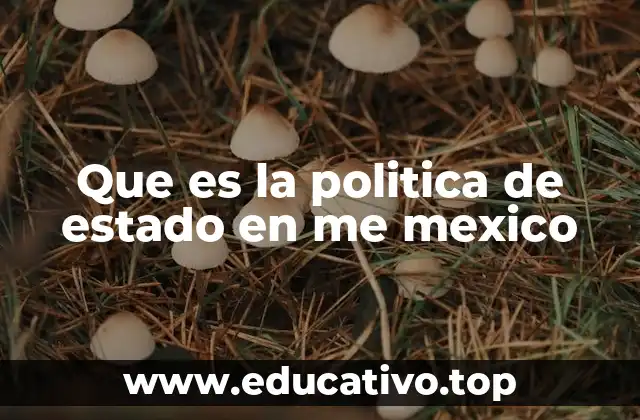 Que es la politica de estado en me mexico