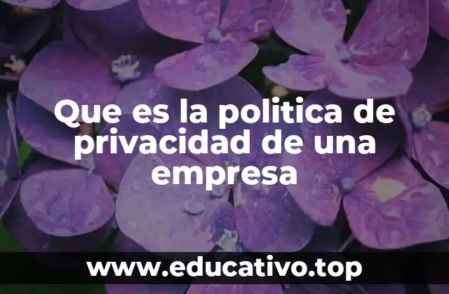 Que es la politica de privacidad de una empresa